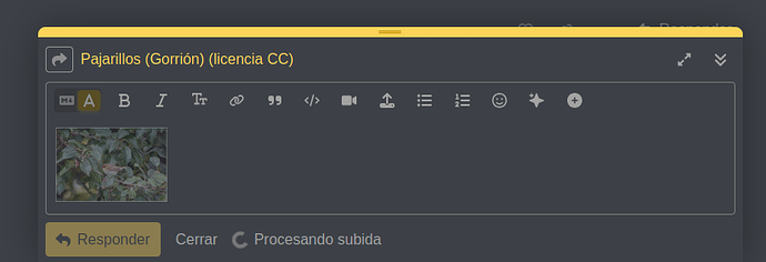 Captura de pantalla de 2025-10-01 20-07-00