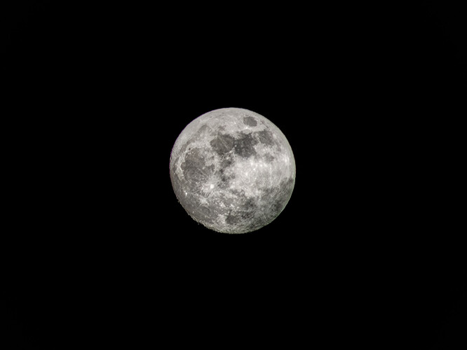 IMG_1867