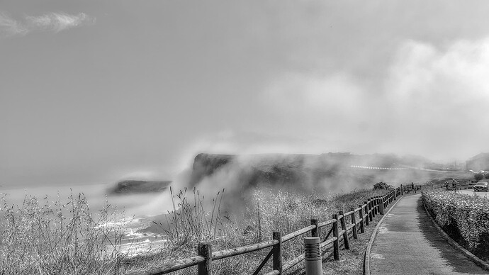 IMG_2327-1