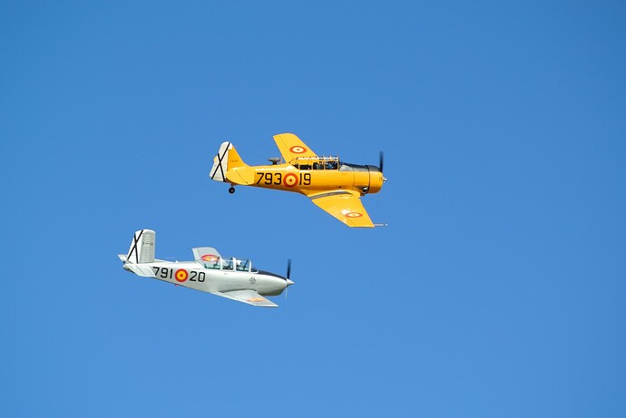 DSC_2998