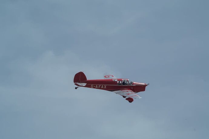 DSC_3906-RevDT