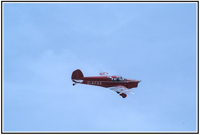DSC_3906_05