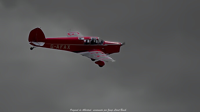 DSC_3906_1