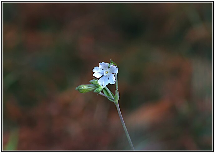 IMG_2663_01