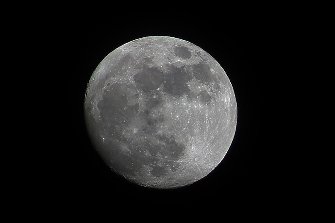 IMG_1876-mi luna