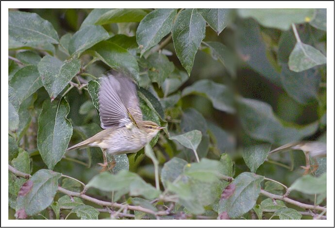 20250927_IMG_2943_01